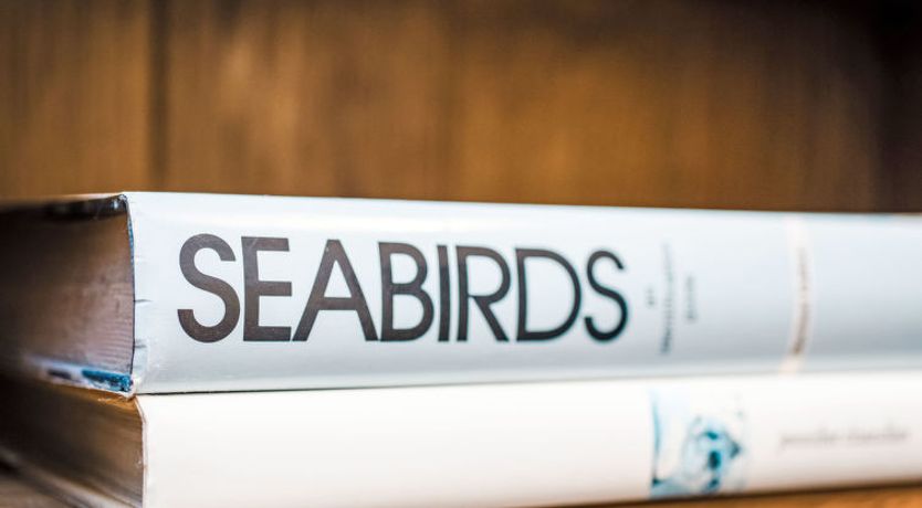 Photo of Waters Edge