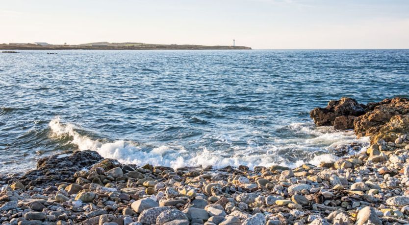 Photo of Waters Edge