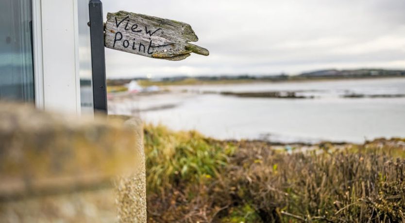 Photo of Waters Edge