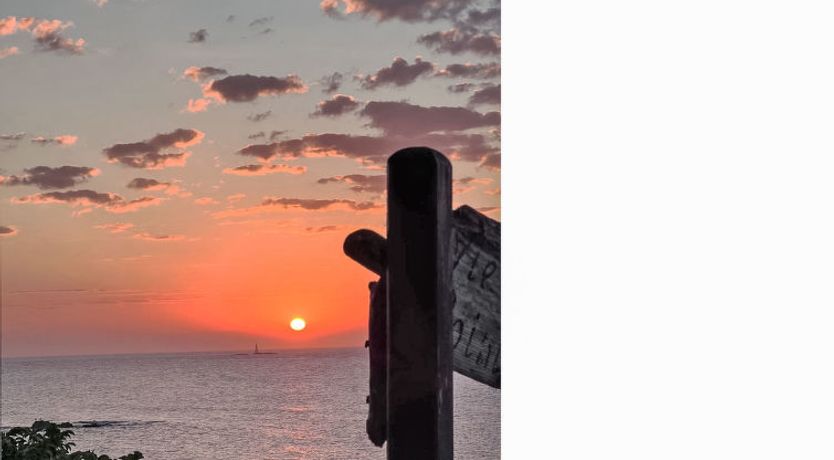 Photo of Waters Edge