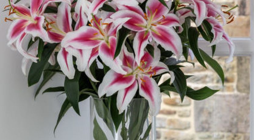 Photo of Middle Warble Stables