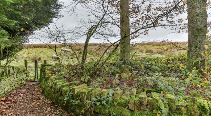 Photo of Middle Warble Stables