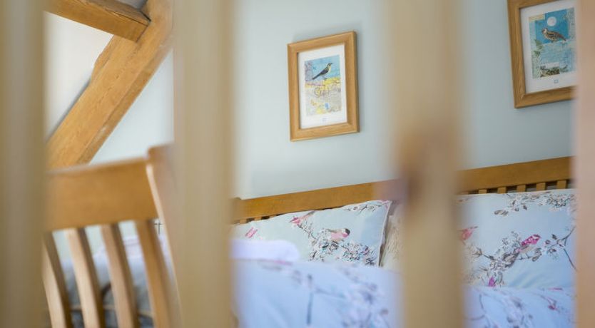 Photo of Woodpecker Cottage