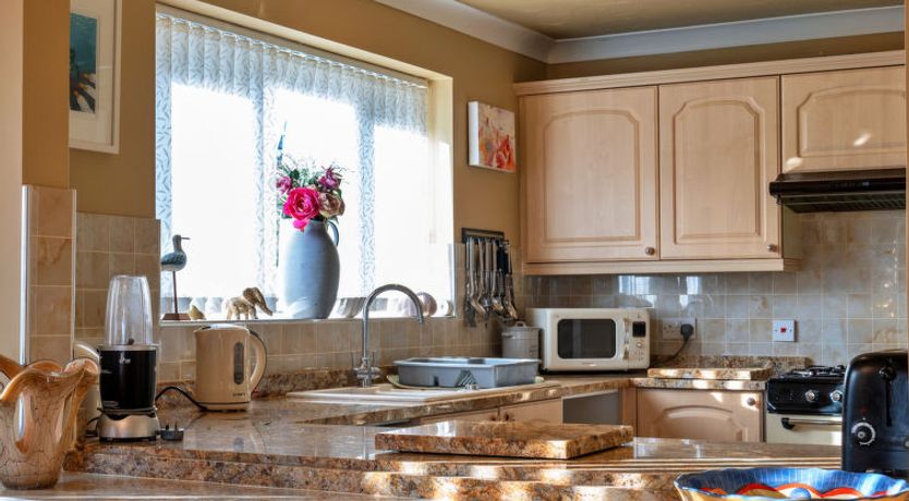 Photo of Harvest Moon