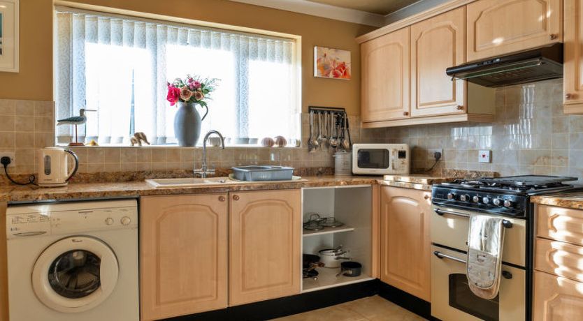 Photo of Harvest Moon