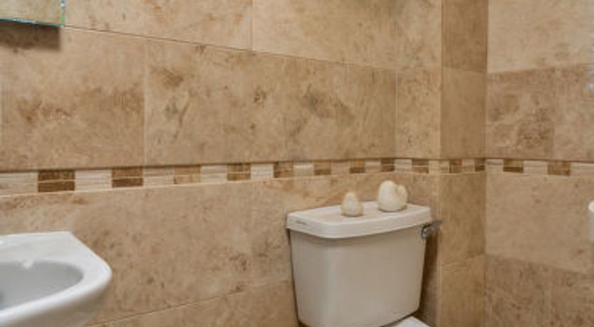 Photo of Harvest Moon