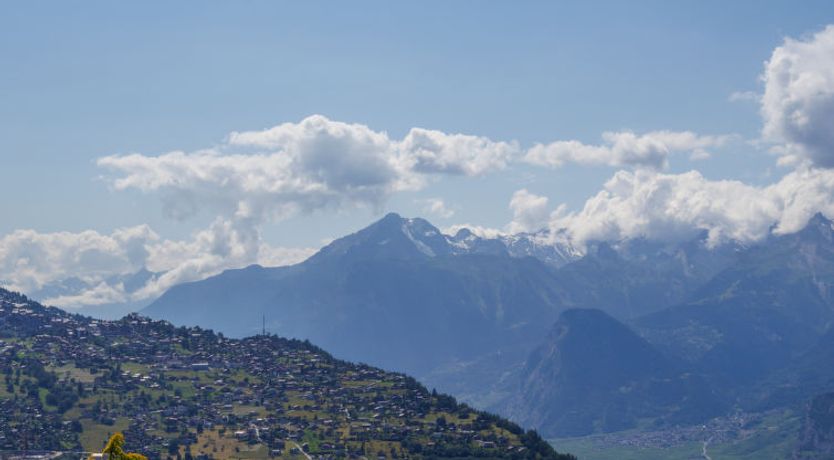 Photo of Beau Soleil G11
