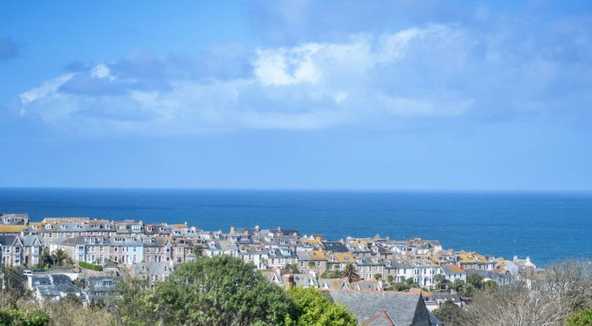 Photo of No. 5 Harlequin