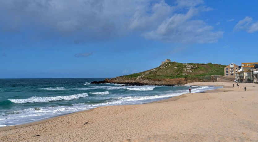 Photo of No. 5 Harlequin