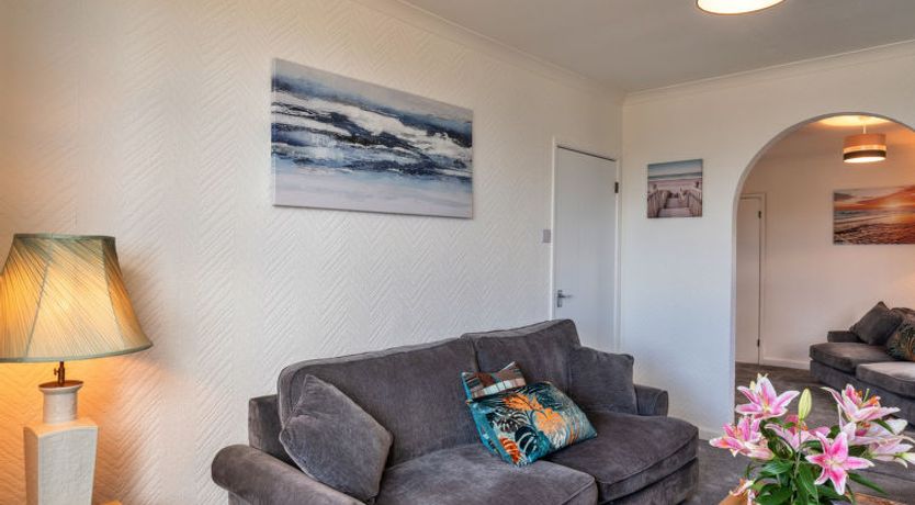 Photo of No. 5 Harlequin