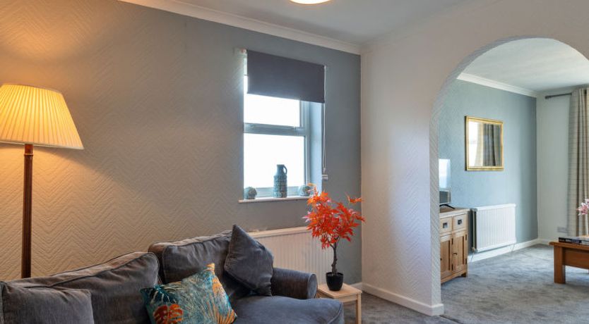 Photo of No. 5 Harlequin