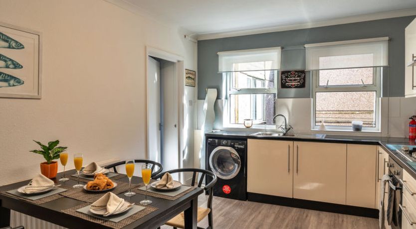 Photo of No. 5 Harlequin