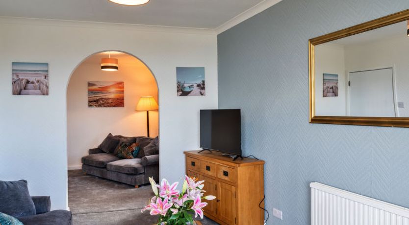 Photo of No. 5 Harlequin