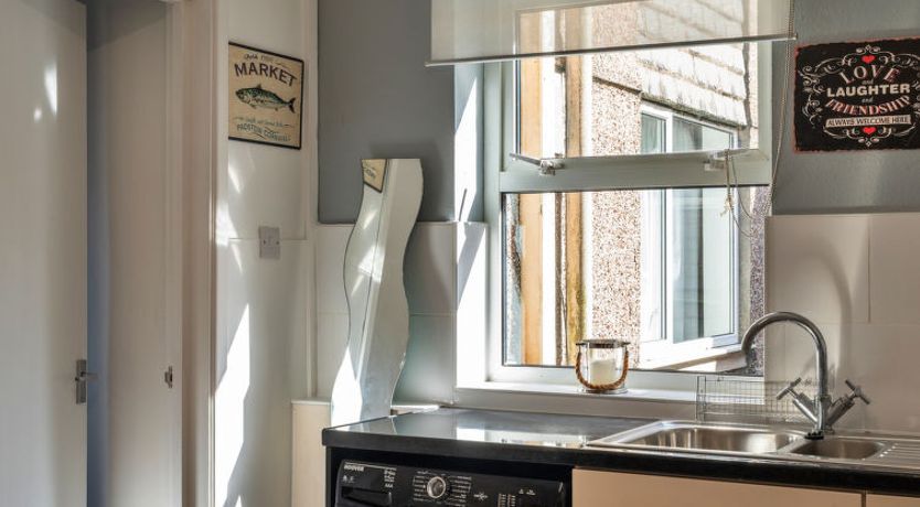 Photo of No. 5 Harlequin