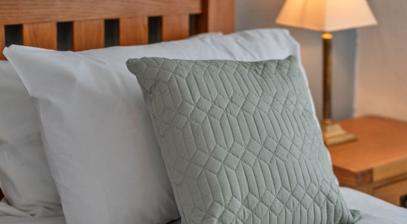 Photo of No. 5 Harlequin