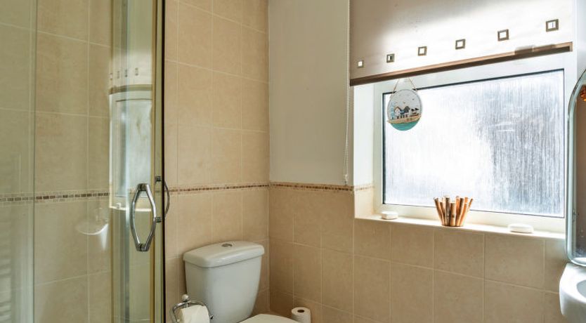 Photo of No. 5 Harlequin