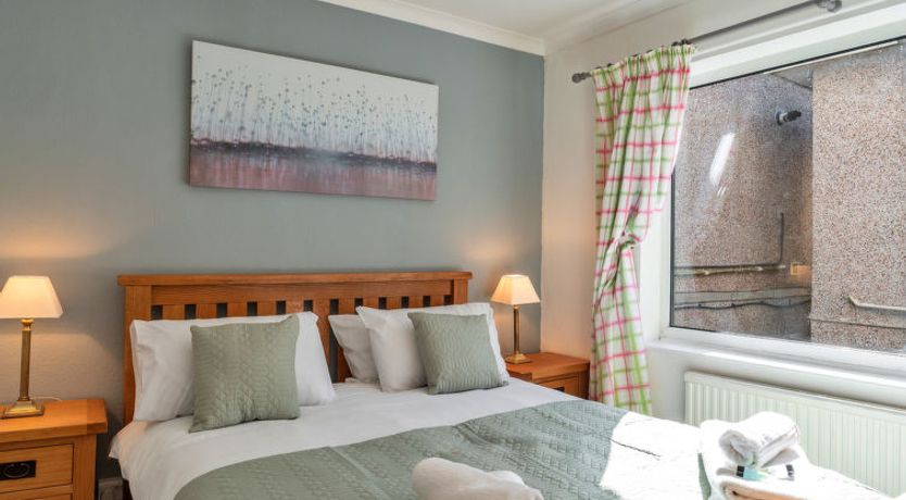 Photo of No. 5 Harlequin