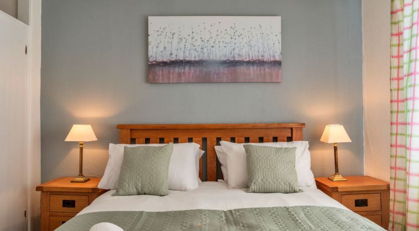 Photo of No. 5 Harlequin