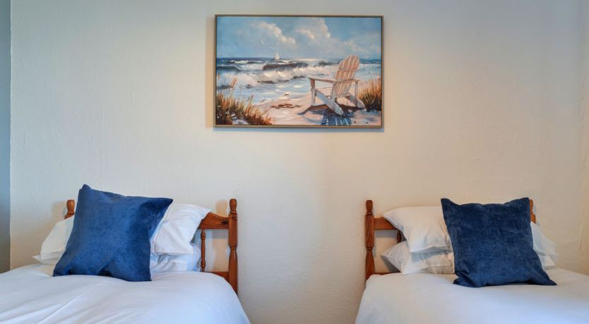 Photo of No. 5 Harlequin