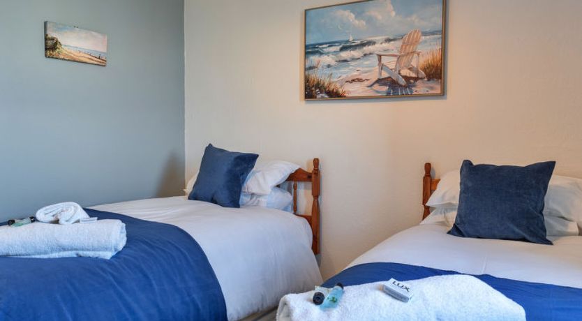 Photo of No. 5 Harlequin