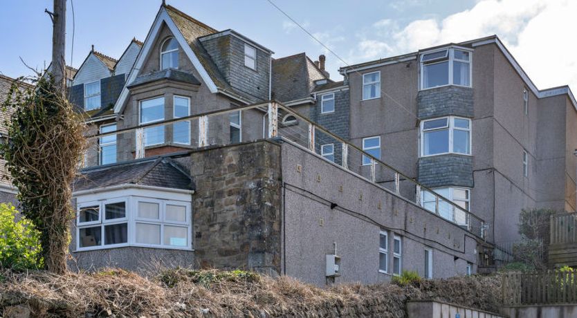 Photo of No. 5 Harlequin