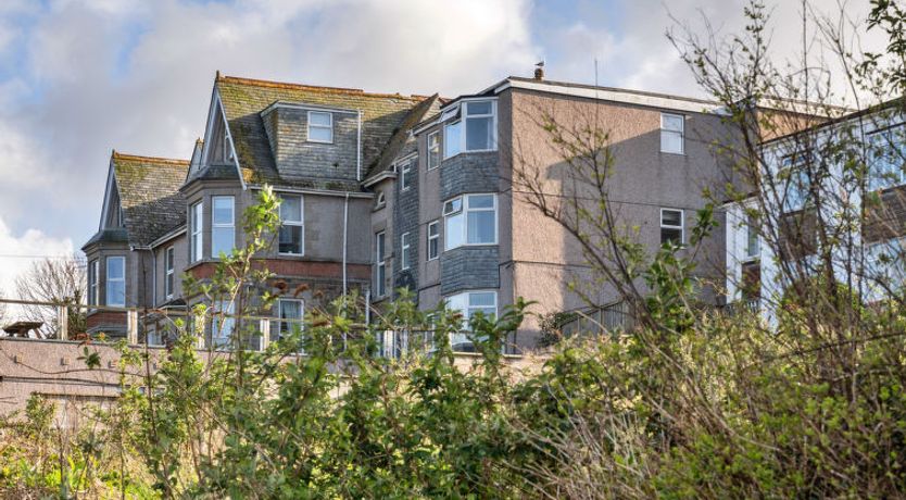 Photo of No. 5 Harlequin