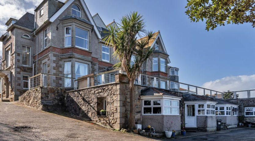 Photo of No. 5 Harlequin