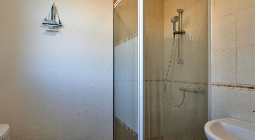 Photo of No. 5 Harlequin