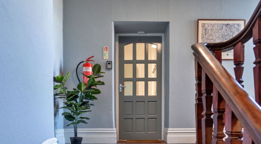 Photo of No. 5 Harlequin