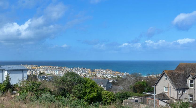 Photo of No. 5 Harlequin