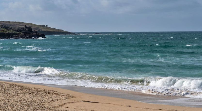 Photo of No. 5 Harlequin