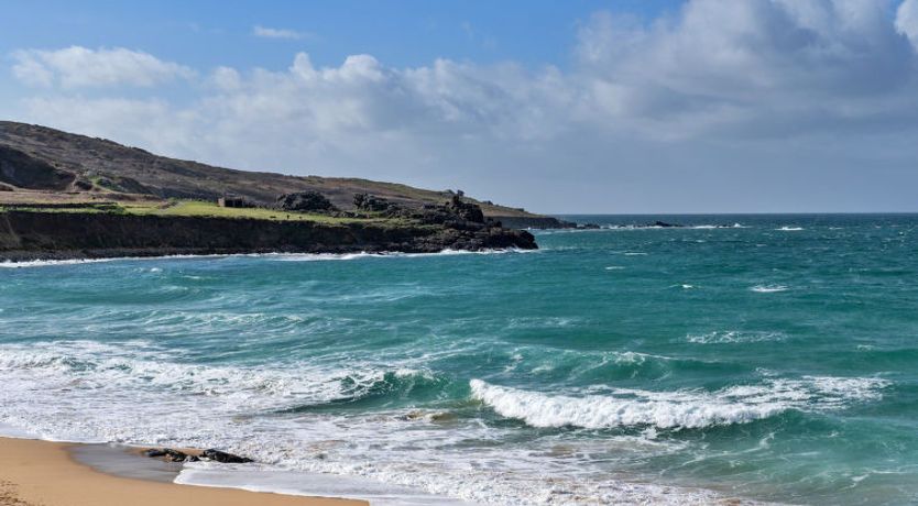 Photo of No. 5 Harlequin