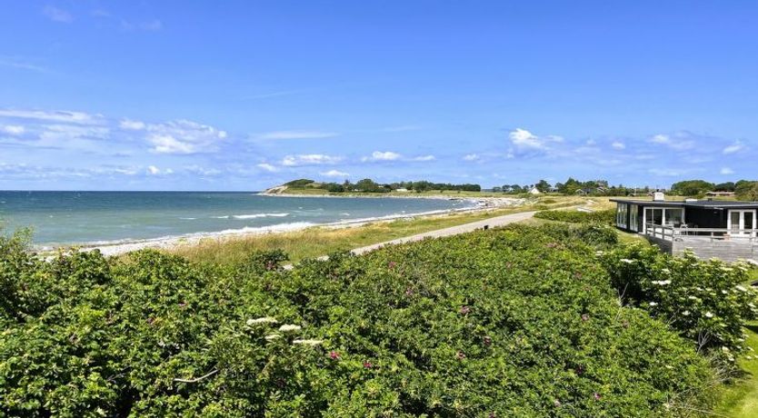 Photo of "Luci" - 20m from the sea