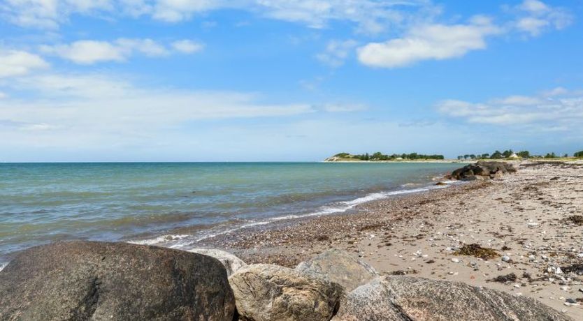 Photo of "Luci" - 20m from the sea