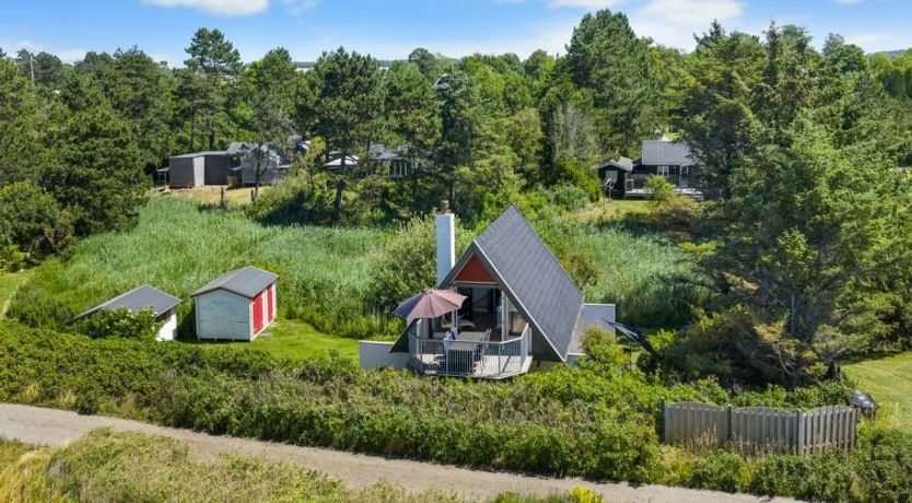 Photo of "Luci" - 20m from the sea