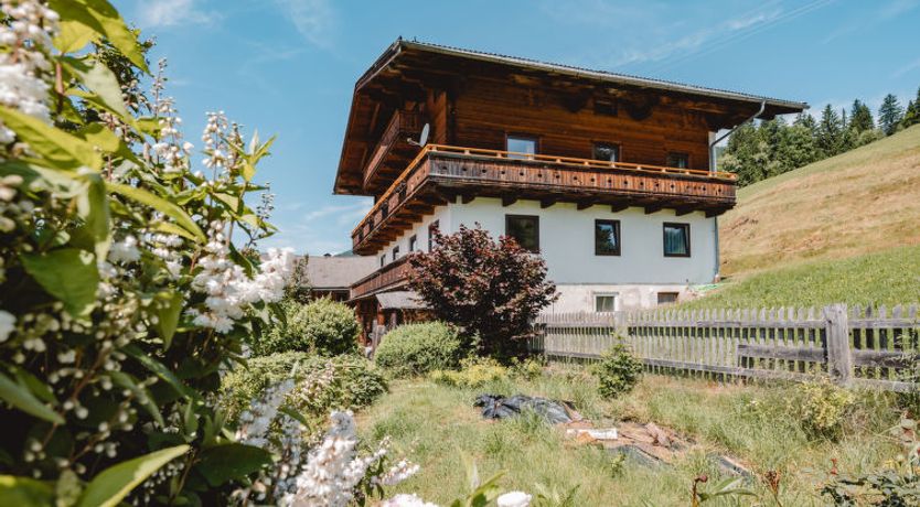 Photo of Panoramaperle