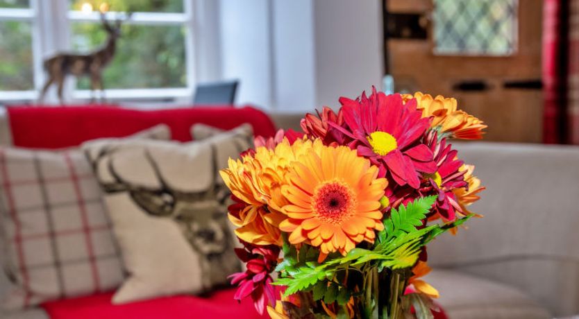 Photo of Little Haven