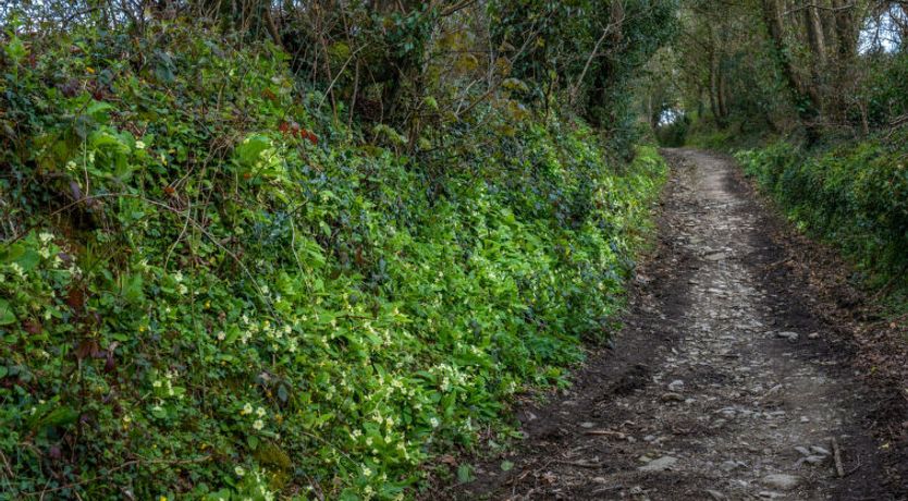 Photo of Tinners Rest