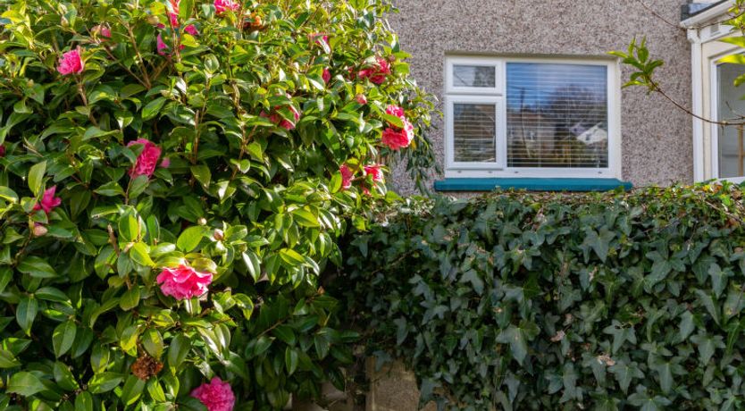 Photo of Tinners Rest