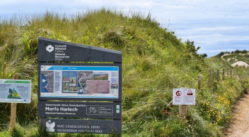 Photo of Golygfa o'r Castell - Castle Views