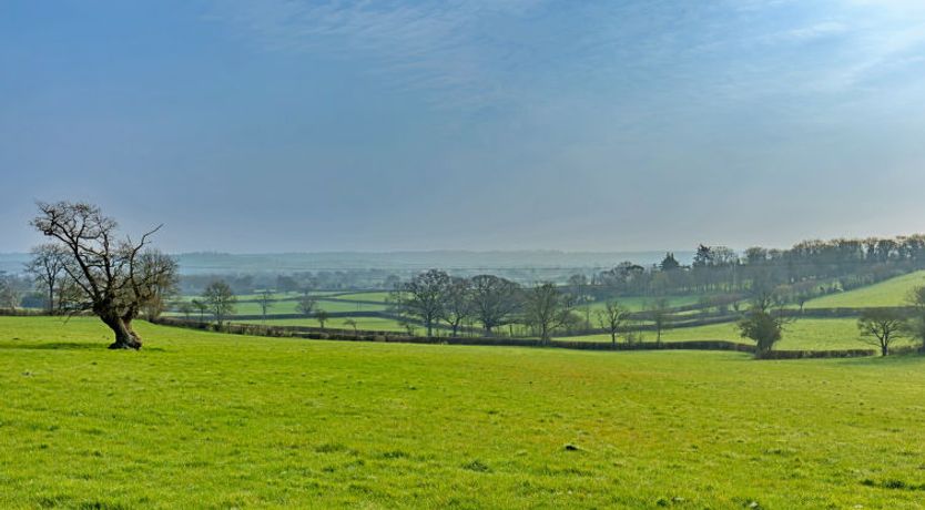 Photo of Fives Court Cottage