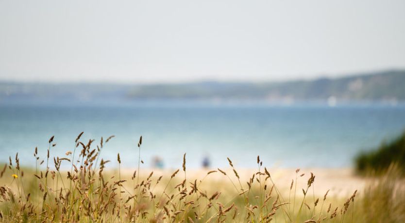 Photo of Primrose Cottage