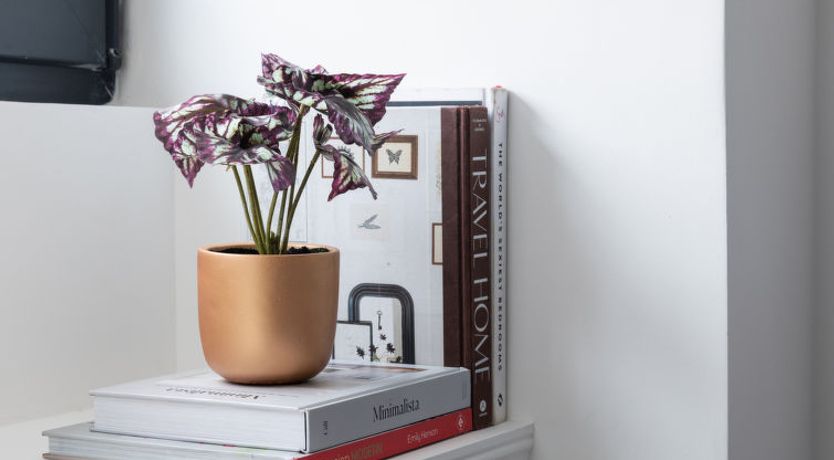 Photo of Capel Salem