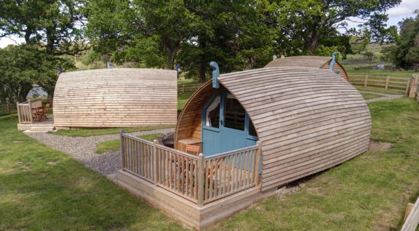 Photo of The Wonney's Glamping