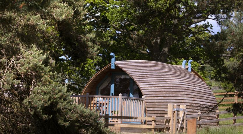 Photo of The Wonney's Glamping