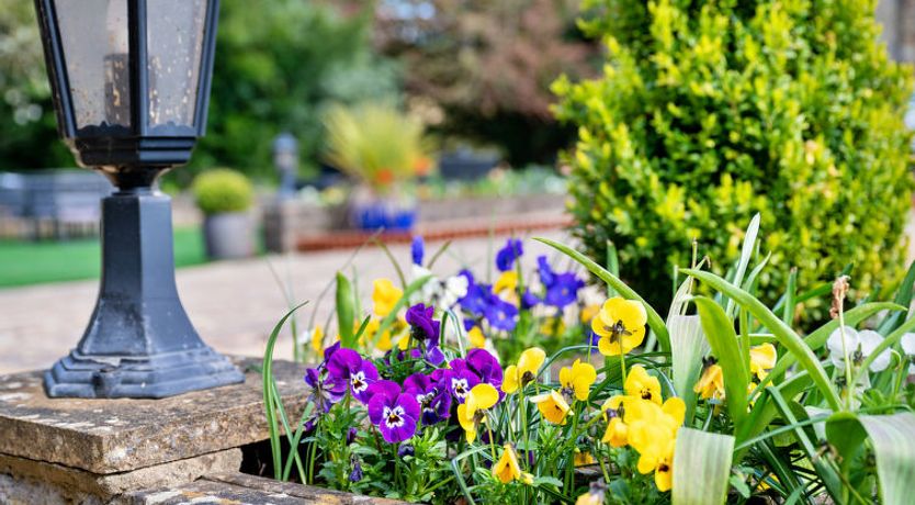 Photo of Sutton Hall Apt