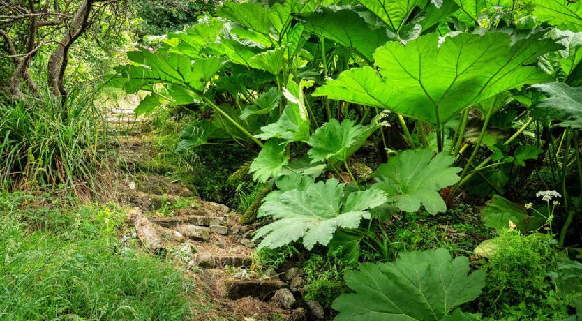 Photo of Tregatreath