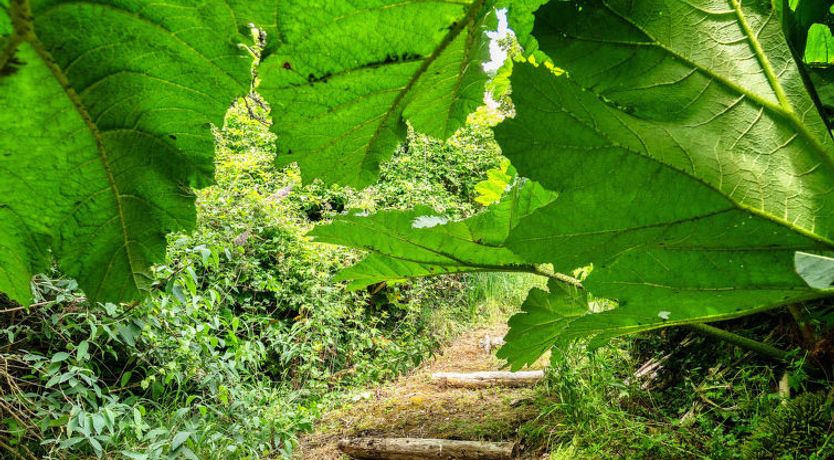 Photo of Tregatreath