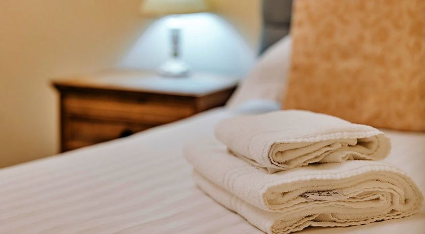 Photo of Netley Hall - Mulberry