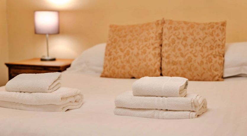 Photo of Netley Hall - Mulberry